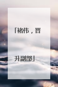 褚伟，晋升副部