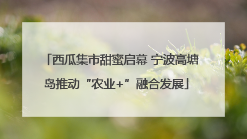 西瓜集市甜蜜启幕 宁波高塘岛推动“农业+”融合发展
