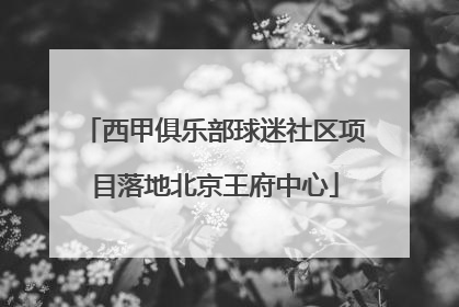 西甲俱乐部球迷社区项目落地北京王府中心