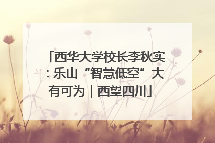 西华大学校长李秋实：乐山“智慧低空”大有可为｜西望四川