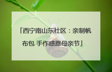西宁南山东社区：亲制帆布包 手作感恩母亲节