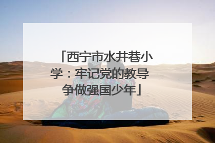 西宁市水井巷小学：牢记党的教导 争做强国少年