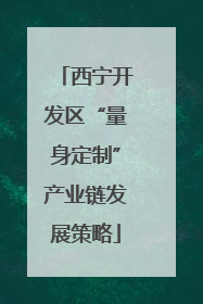 西宁开发区“量身定制”产业链发展策略