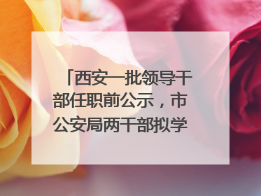西安一批领导干部任职前公示，市公安局两干部拟学历破格提拔