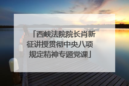 西峡法院院长肖新征讲授贯彻中央八项规定精神专题党课