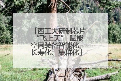 西工大研制芯片“飞上天” 赋能空间装备智能化、长寿化、集群化