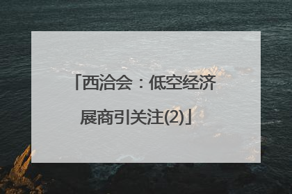 西洽会：低空经济展商引关注(2)