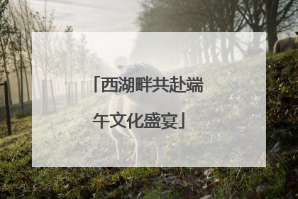 西湖畔共赴端午文化盛宴