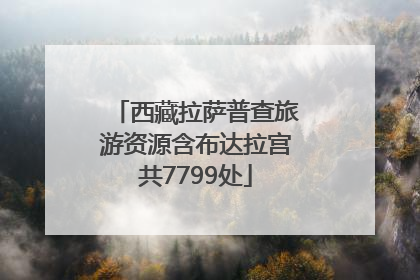 西藏拉萨普查旅游资源含布达拉宫共7799处