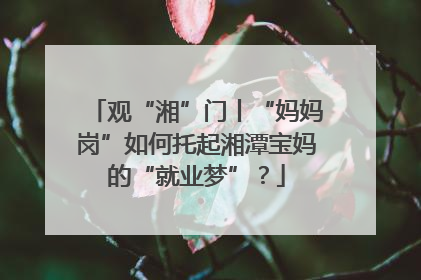 观“湘”门丨“妈妈岗”如何托起湘潭宝妈的“就业梦”？
