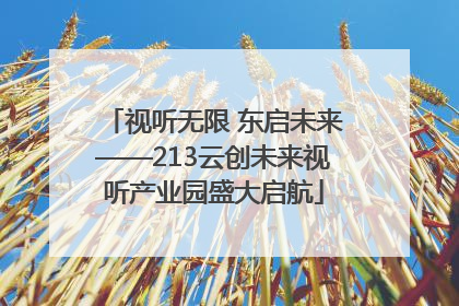 视听无限 东启未来——213云创未来视听产业园盛大启航