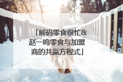 解码零食很忙&赵一鸣零食与加盟商的共赢方程式