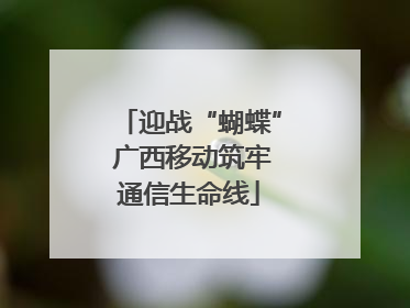 迎战“蝴蝶” 广西移动筑牢通信生命线