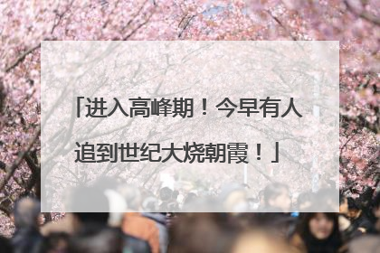 进入高峰期！今早有人追到世纪大烧朝霞！