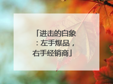 进击的白象：左手爆品，右手经销商