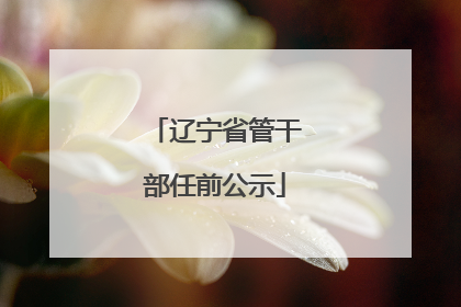 辽宁省管干部任前公示