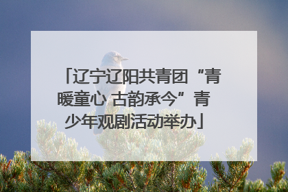辽宁辽阳共青团“青暖童心 古韵承今”青少年观剧活动举办