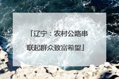辽宁：农村公路串联起群众致富希望