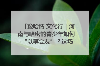 豫哈情 文化行｜河南与哈密的青少年如何 “以笔会友”？这场书画展藏着答案