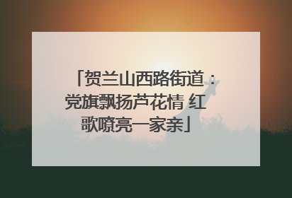 贺兰山西路街道：党旗飘扬芦花情 红歌嘹亮一家亲