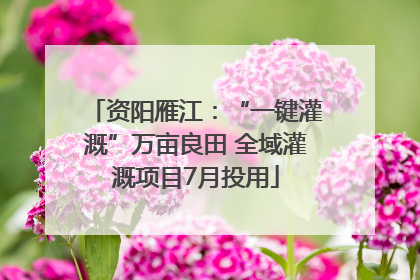 资阳雁江：“一键灌溉”万亩良田 全域灌溉项目7月投用