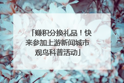赚积分换礼品！快来参加上游新闻城市观鸟科普活动