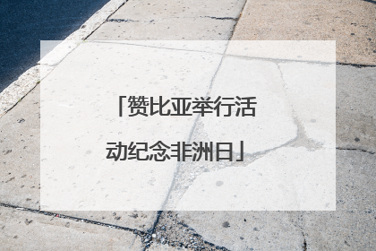 赞比亚举行活动纪念非洲日