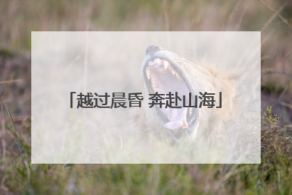 越过晨昏 奔赴山海