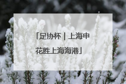 足协杯｜上海申花胜上海海港
