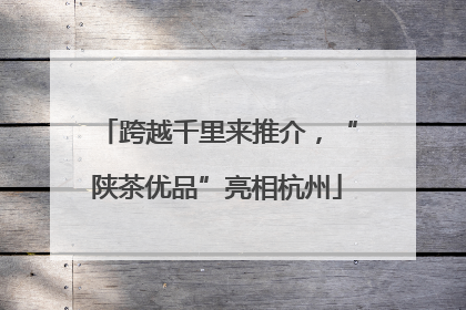 跨越千里来推介，“陕茶优品”亮相杭州