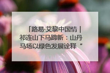 路易·艾黎中国情｜祁连山下马蹄新：山丹马场以绿色发展诠释“两山”理论实践