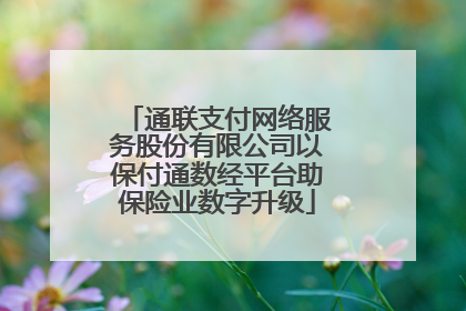 通联支付网络服务股份有限公司以保付通数经平台助保险业数字升级