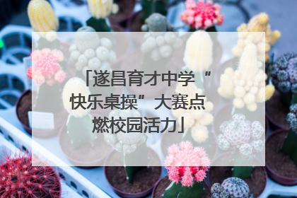 遂昌育才中学“快乐桌操”大赛点燃校园活力