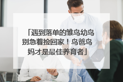 遇到落单的雏鸟幼鸟别急着捡回家！鸟爸鸟妈才是最佳养育者