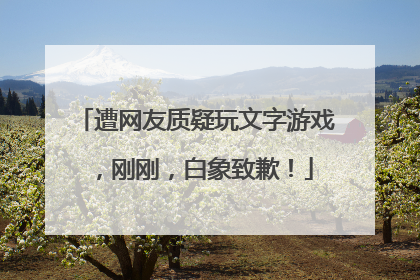 遭网友质疑玩文字游戏，刚刚，白象致歉！