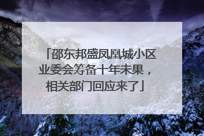 邵东邦盛凤凰城小区业委会筹备十年未果，相关部门回应来了