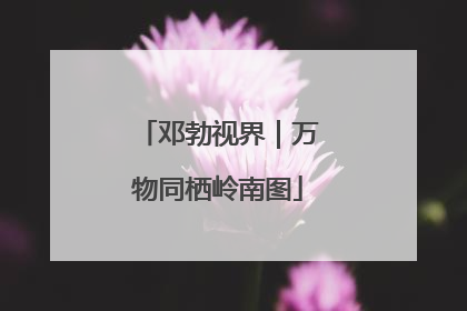 邓勃视界｜万物同栖岭南图