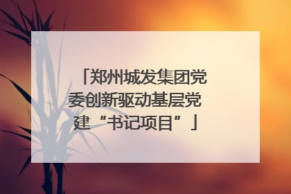 郑州城发集团党委创新驱动基层党建“书记项目”