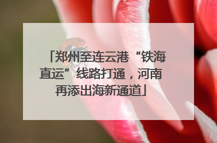 郑州至连云港“铁海直运”线路打通，河南再添出海新通道