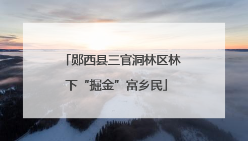 郧西县三官洞林区林下“掘金”富乡民