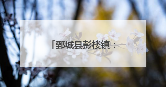 鄄城县彭楼镇：中草药种植打造致富“金钥匙”