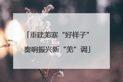重建羌寨“好样子” 奏响振兴新“羌”调