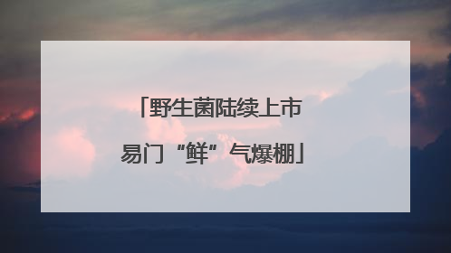 野生菌陆续上市 易门“鲜”气爆棚