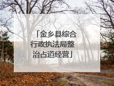 金乡县综合行政执法局整治占道经营