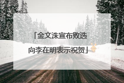 金文洙宣布败选 向李在明表示祝贺