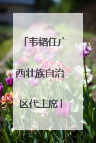 韦韬任广西壮族自治区代主席