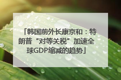 韩国前外长康京和：特朗普“对等关税”加速全球GDP缩减的趋势