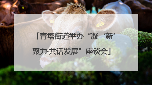 青塔街道举办“凝‘新’聚力·共话发展”座谈会
