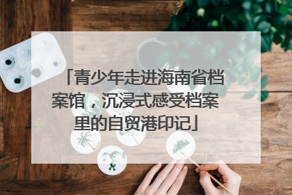 青少年走进海南省档案馆，沉浸式感受档案里的自贸港印记