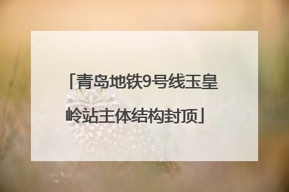 青岛地铁9号线玉皇岭站主体结构封顶